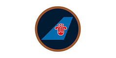 中(zhōng)國(guó)南方航空公(gōng)司标志(zhì)組合設計及VI設計