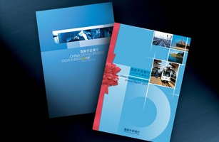 設計公(gōng)司-國(guó)家開發銀行年報