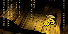 設計公(gōng)司-深圳航空以“鵬”為(wèi)标志(zhì)，形象煥然一新(xīn)